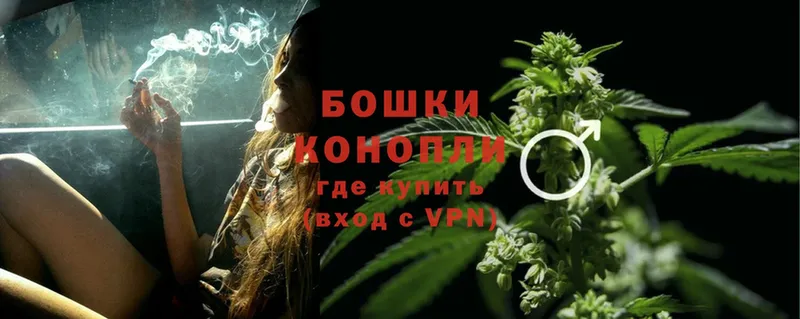 Конопля OG Kush  Добрянка 